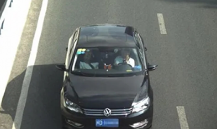 开车打手机抓拍