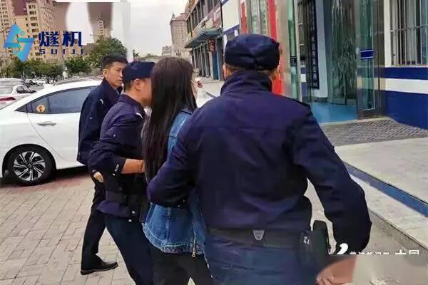 街道打架斗殴行为识别算法 校园打架斗殴智能检测系统-燧机(上海)科技有限公司